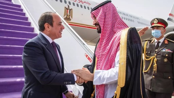 جانب من الاستقبال 