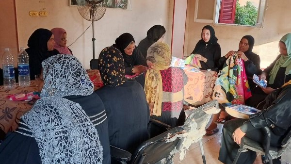 الشباب والرياضة بالاقصر تنفيذ ورشة تدريبية 