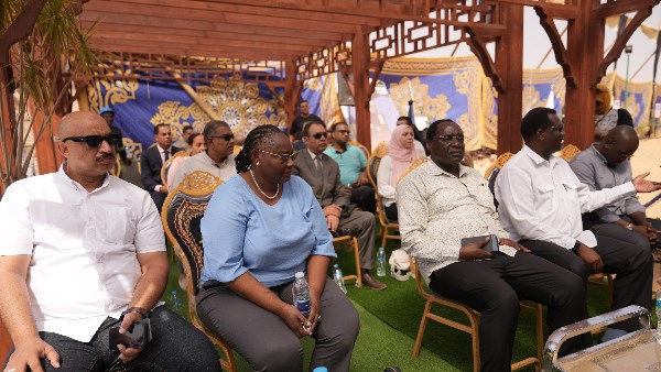 سفراء أفارقة 