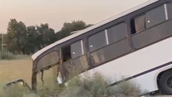 شيماء حيدر 