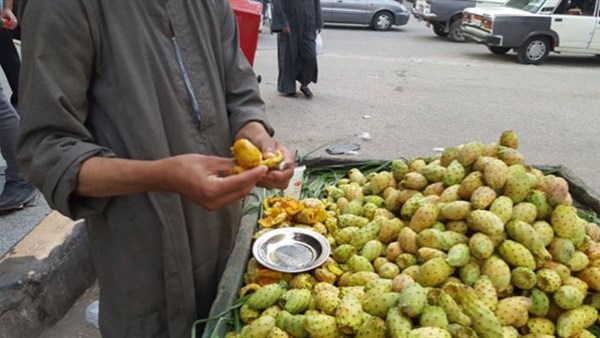 مقتل شاب علي يد بائع التين الشوكي