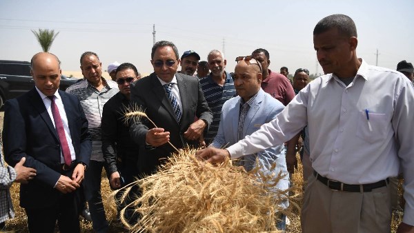 محافظ قنا 