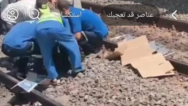 وفاة شقيقين دهسا بالقطار في البحيرة 