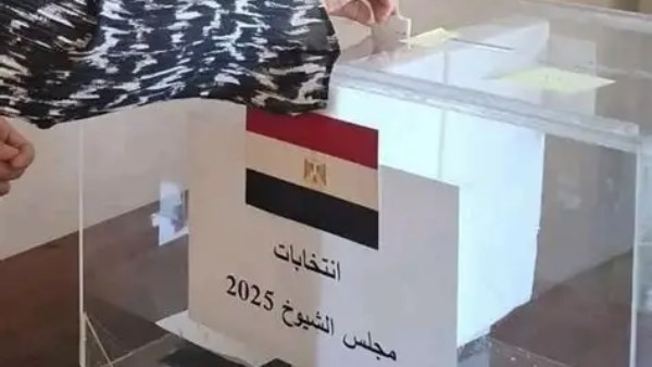 انتخابات مجلس الشيوخ 2025