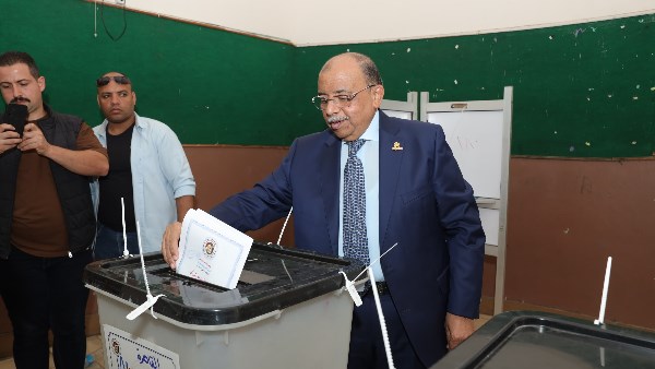 محمود شعراوي 