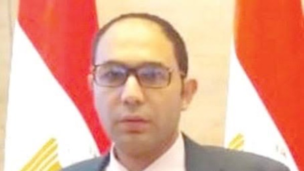 حمادة بكر، عضو الهيئة العليا لحزب الوفد