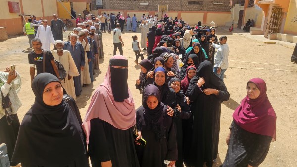 انتخابات مجلس الشيوخ ٢٠٢٥