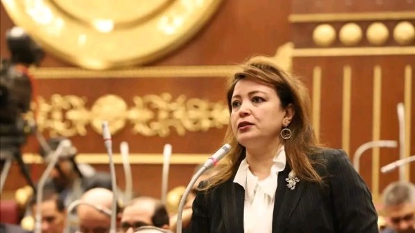الدكتورة سماء سليمان وكيل لجنة الشؤون الخارجية والعربية والأفريقية بمجلس الشيوخ وامينة الشؤون السياسية بحزب حماة الوطن