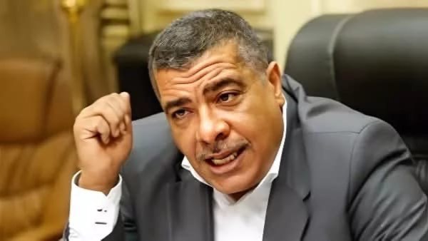 النائب معتز محمود عضو مجلس النواب 