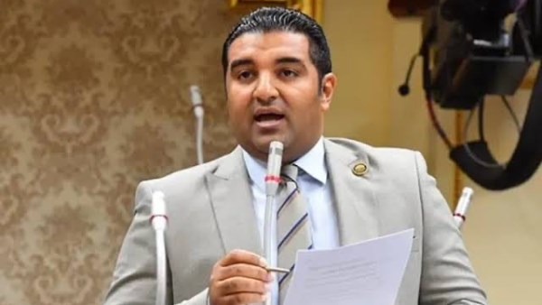 المهندس محمود عصام، عضو مجلس النواب