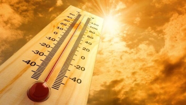 صورة توضيحية 