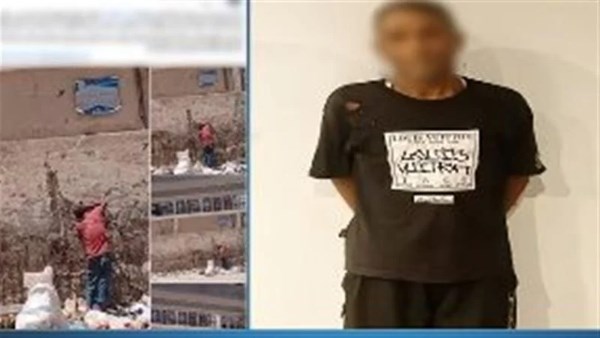 صورة من الواقعة