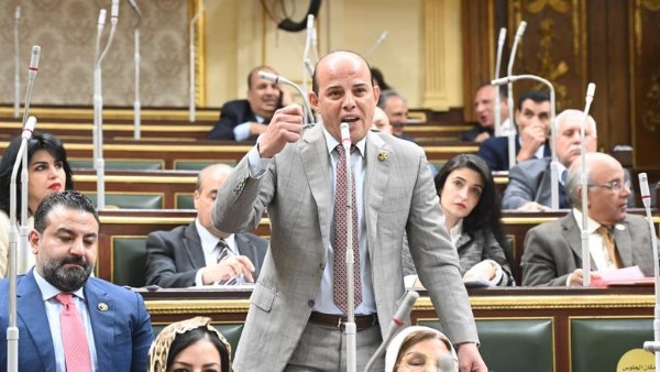 النائب عمرو القطامي