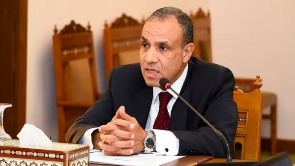 الدكتور  بدر عبد العاطي وزير الخارجية المصري