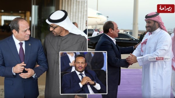  الرئيس السيسي والشيخ محمد بن زايد