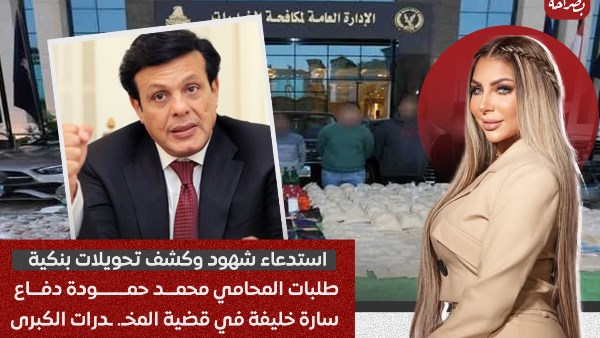 طلبات المحامي محمد حمودة دفاع سارة خليفة