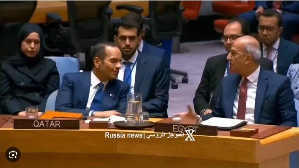 مندوب مصر بمجلس الأمن ورئيس الوزراء القطري