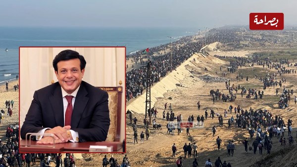 الدكتور محمد حمودة