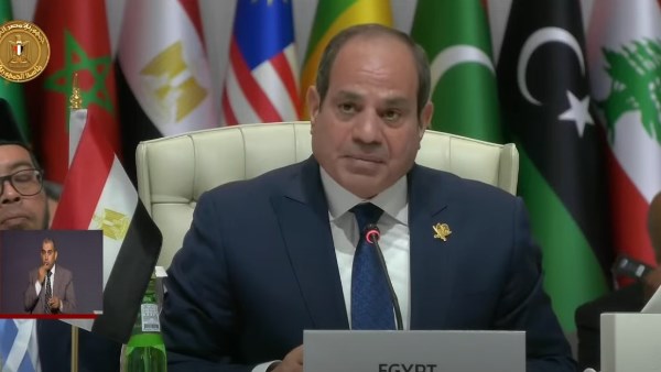جانب من المشاركة
