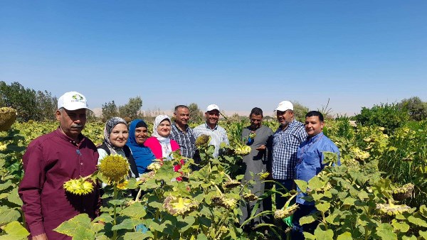 "الزراعة" تنشر ملخصا حول الجهود والأنشطة البحثية والإرشادية والخدمية والميدانية لمركز بحوث الصحراء خلال أغسطس "الزراعة" تنشر ملخصا حول الجهود والأنشطة البحثية والإرشادية والخدمية والميدانية لمركز بحوث الصحراء خلال أغسطس