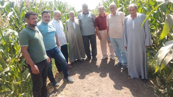 "البحوث الزراعية"  يُكثف جهوده الإرشادية لدعم المزارعين وتنمية مهارات العاملين في القطاع الزراعي