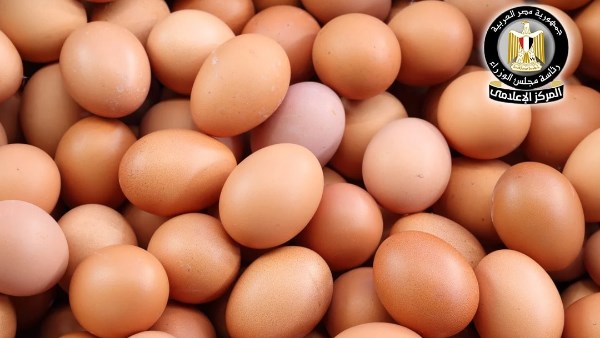  مبادرة المنافذ المتنقلة