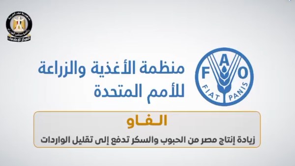 بالفيديو..المركز الإعلامي لمجلس الوزراء: الأمن الغذائي رؤية الدولة لمستقبل مستدام 