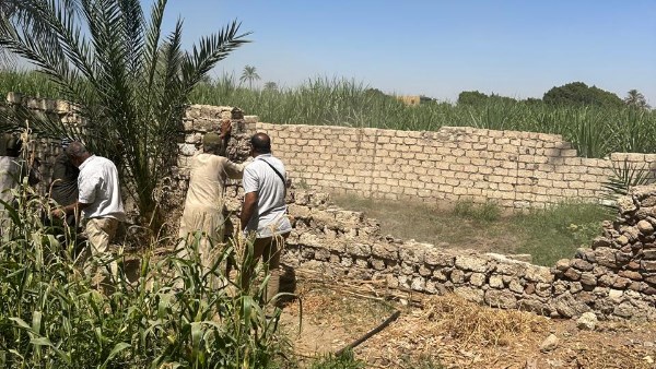 حملة مكبرة لازاله التعديات على الاراضي الزراعيه حملة مكبرة لازاله التعديات على الاراضي الزراعيه