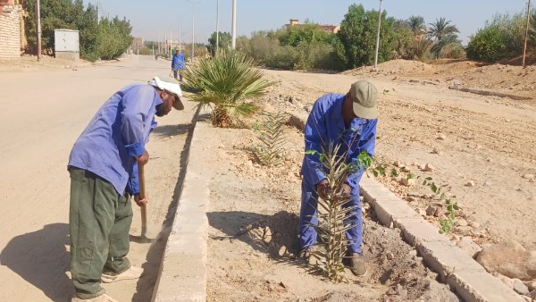 اعمال نظافة وتجميل بمدينة الطود 