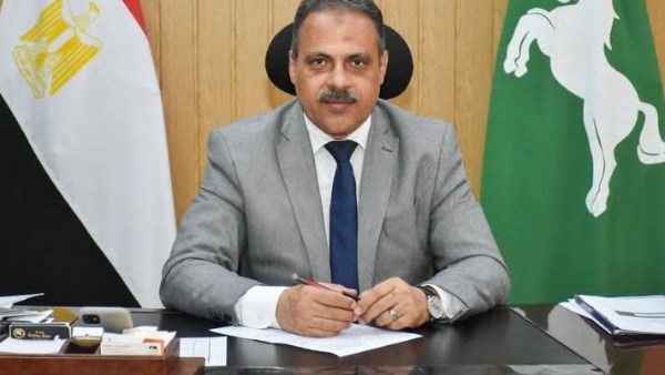 محافظ الشرقية 