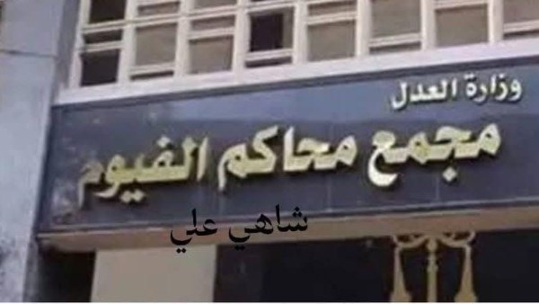 إحالة شاب بالفيوم للمفتي لقتله جدته وسرقتها