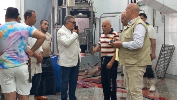 جولة محافظ الدقهلية جولة محافظ الدقهلية