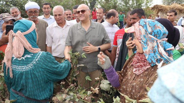 محافظ القليوبية وسط مزارعين حصد القطن 