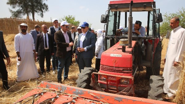 حصاد الخير من الأرز والقمح بكفرالشيخ 