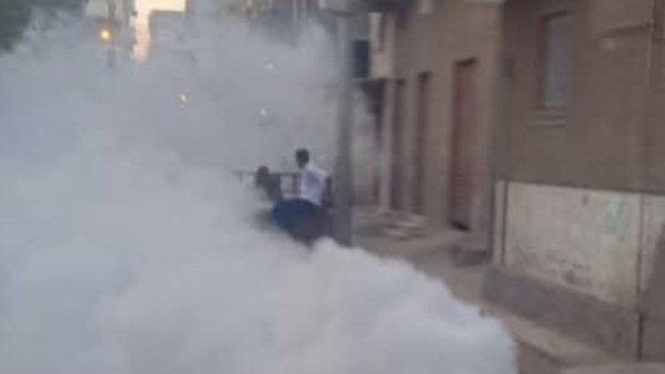 مكافحة ناقلات الأمراض المعدية بالبحيرة