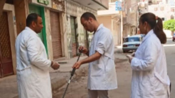 تحصين الكلاب الحرة بدمنهور