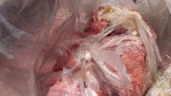 إعدام 285 كجم أغذية فاسدة بالبحيرة 