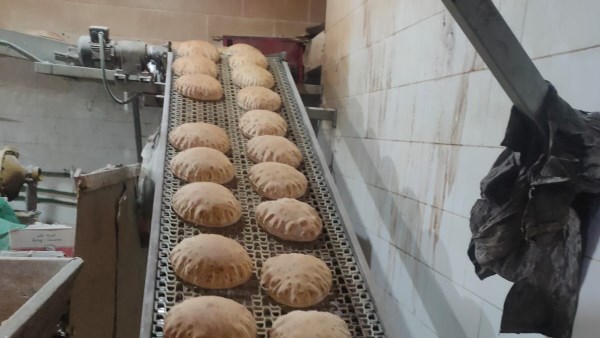 تحرير 2247 محضراً تموينياً بالبحيرة 