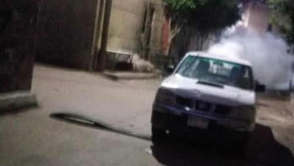 مكافحة الحشرات بالبحيرة 