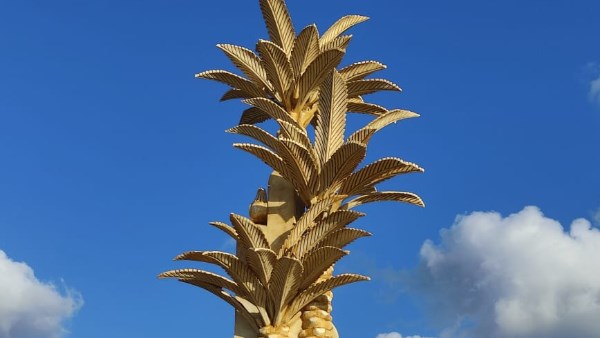مدينة ادكو 