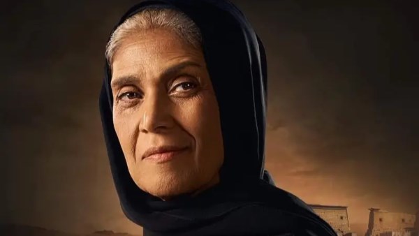 الفنانة عايدة فهمي