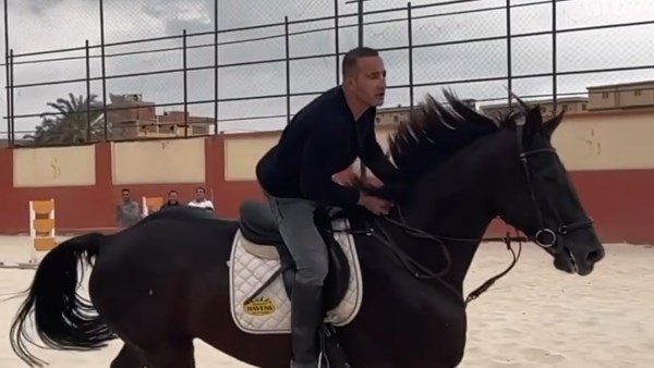 أحمد السقا مع الخيول