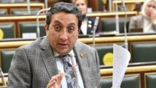 الدكتور إيهاب رمزى عضو مجلس النواب واستاذ القانون الجنائى