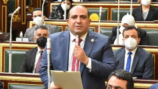 الدكتور محمد سليم وكيل لجنة الشئون الافريقية بمجلس النواب