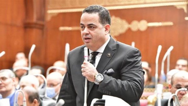 عصام هلال الأمين المساعد لحزب مستقبل وطن ووكيل اللجنة التشريعية والدستورية بمجلس الشيوخ