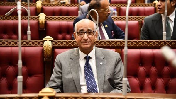 النائب حسانين توفيق، عضو مجلس الشيوخ عن محافظة المنيا