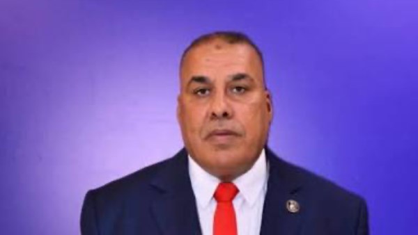 النائب محمد عبدالعال أبو النصر ، عضو مجلس الشيوخ عن حزب حماة الوطن