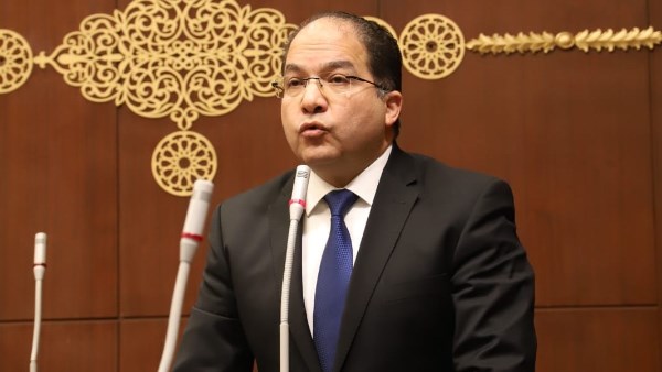 النائب عادل اللمعي، عضو مجلس الشيوخ