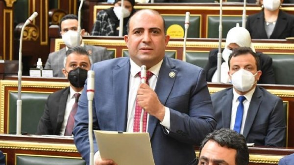 الدكتور محمد سليم وكيل لجنة الشئون الأفريقية بمجلس النواب