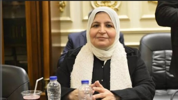النائبة سلوي أبو الوفا 